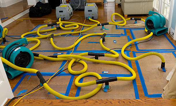 Professional Basement Flood Cleanup technician working in Westbury, NY